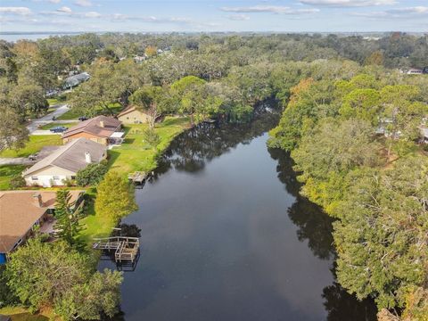 A home in MOUNT DORA