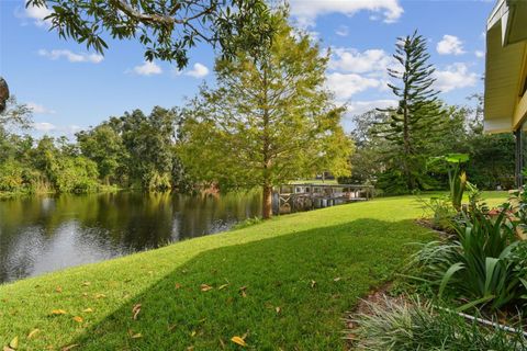 A home in MOUNT DORA