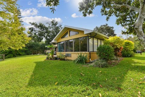 A home in MOUNT DORA