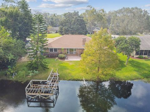 A home in MOUNT DORA