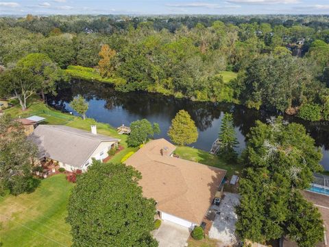 A home in MOUNT DORA