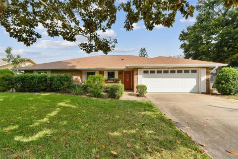 A home in MOUNT DORA