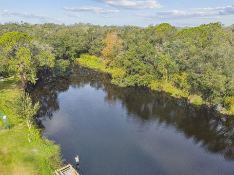 A home in MOUNT DORA