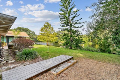 A home in MOUNT DORA