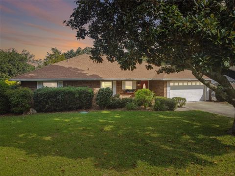 A home in MOUNT DORA