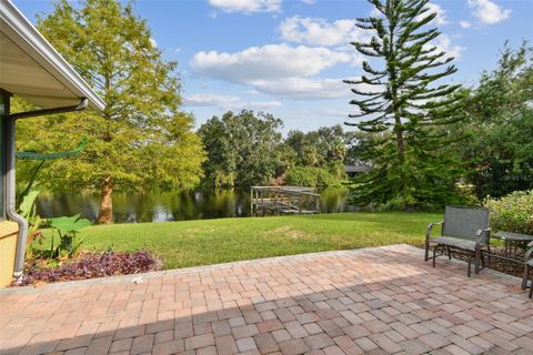 A home in MOUNT DORA