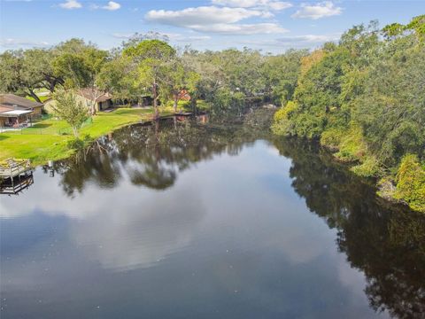 A home in MOUNT DORA