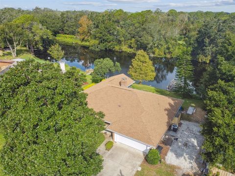 A home in MOUNT DORA