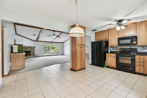 A home in MOUNT DORA