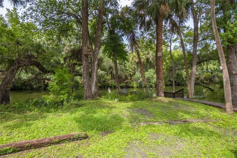 Tiny photo for 28 Rivertrail Drive, Inglis, FL 34449 (MLS # TB8476801)
