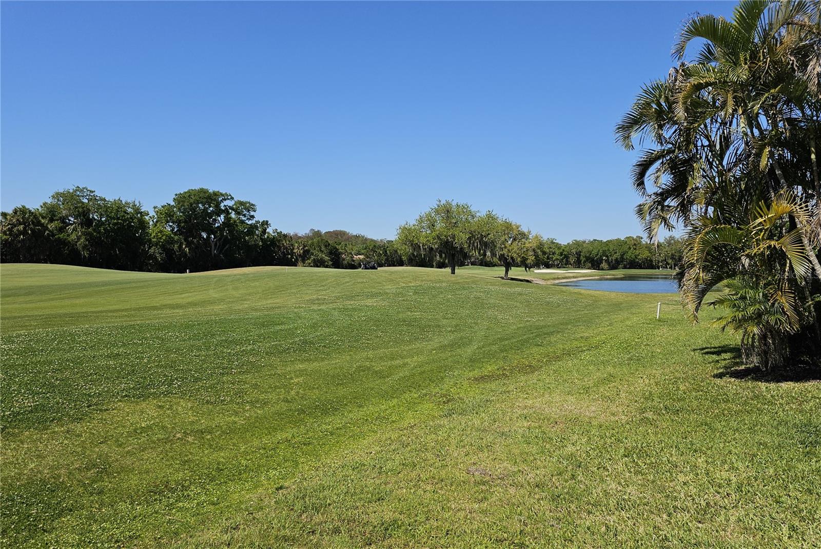 PLANTERS MANOR AT GREENFIELD PLNT III-A - Residential