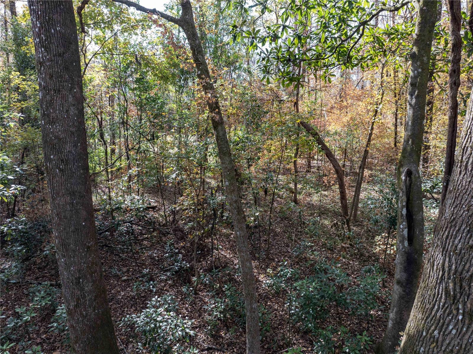 THREE RIVERS ESTATES - Land