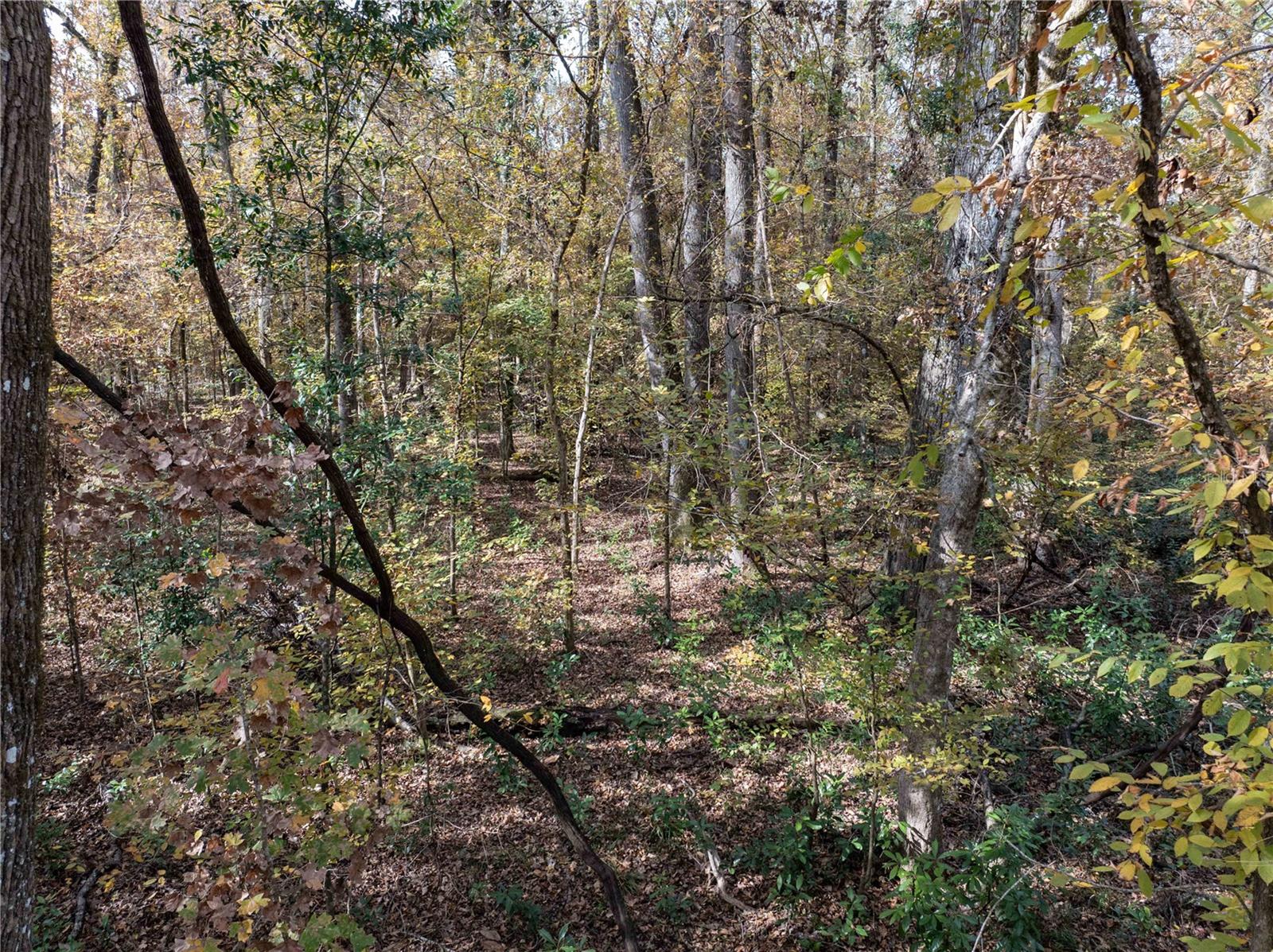 THREE RIVERS ESTATES - Land