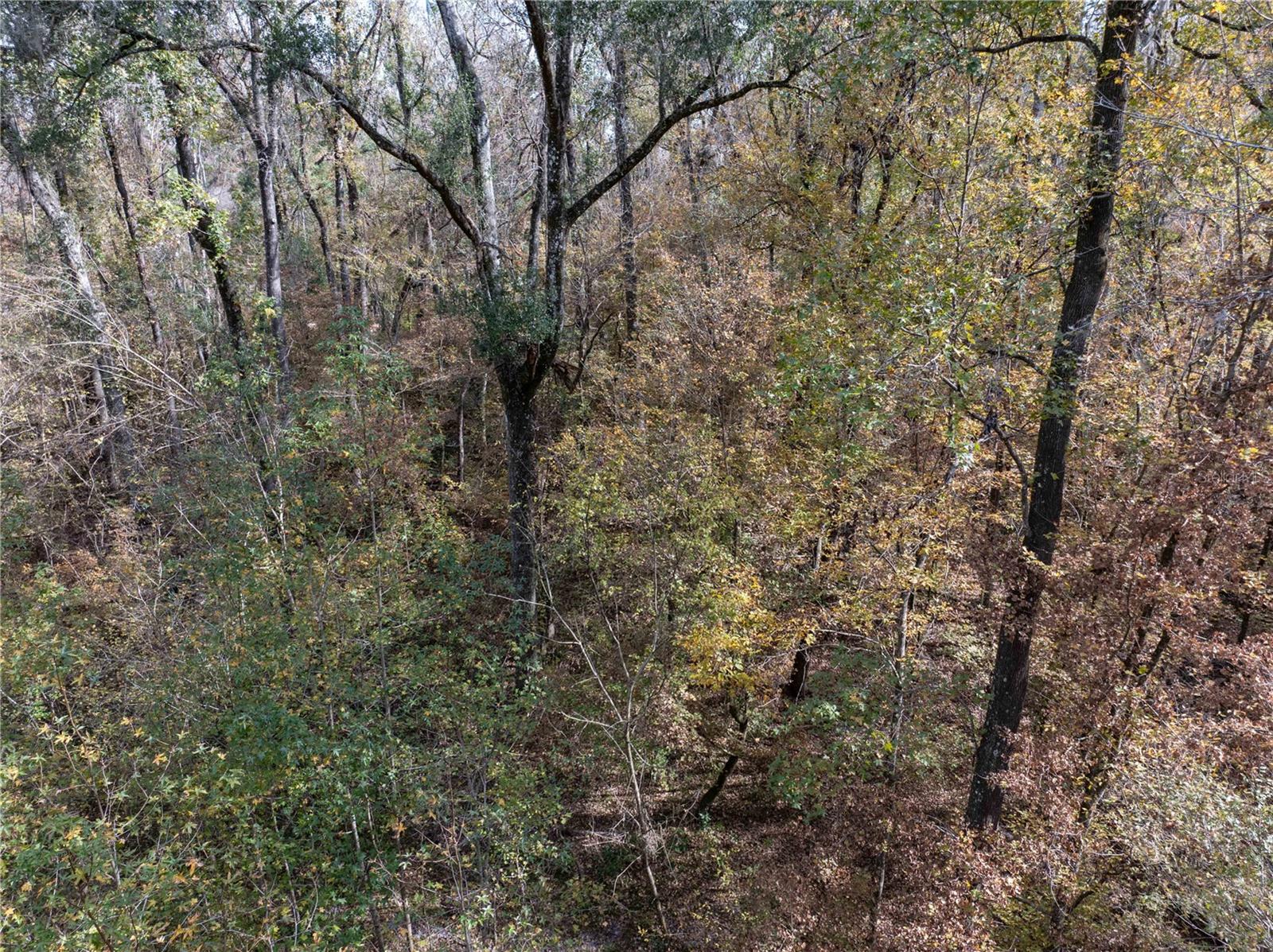 THREE RIVERS ESTATES - Land