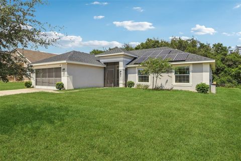 Photo of 607 Bradley Way, Fruitland Park, FL 34731 (MLS # G5100055)