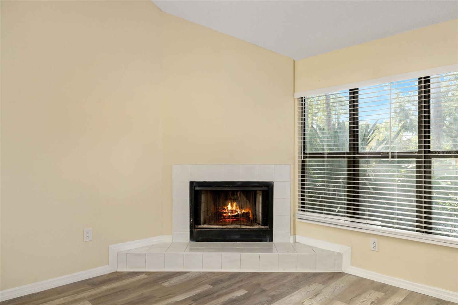 2004 WOOD HOLLOW PLACE