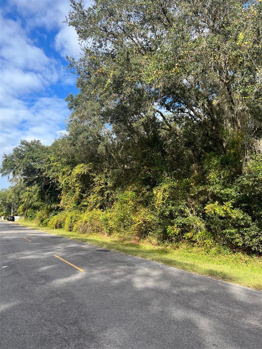 1.25 acre lot located in a high growth area in Dunnellon Florida ideal for agricultural use allows you to have animals such as horses cows chickens and more paved road quick access to main routes and just minutes from the famous Rainbow River is not in a flood zone without CDD or HOA excellent opportunity to build invest or enjoy country living with total freedom we also have an additional adjacent lot of the same size with parcel number 4088-248-000 schedule your appointment today