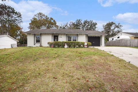 3119 SHAFTON AVENUE DELTONA FL 32738