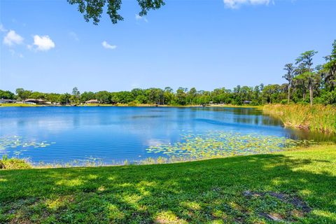 Photo of 10209 Lake Grove Drive, Odessa, FL 33556 (MLS # TB8497352)