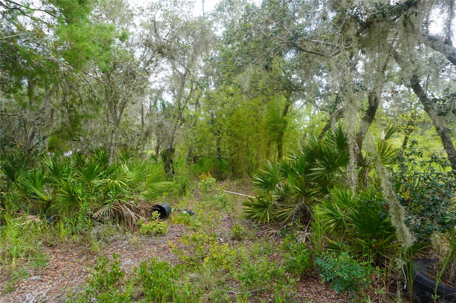 LAKE WALES ESTATES - Land
