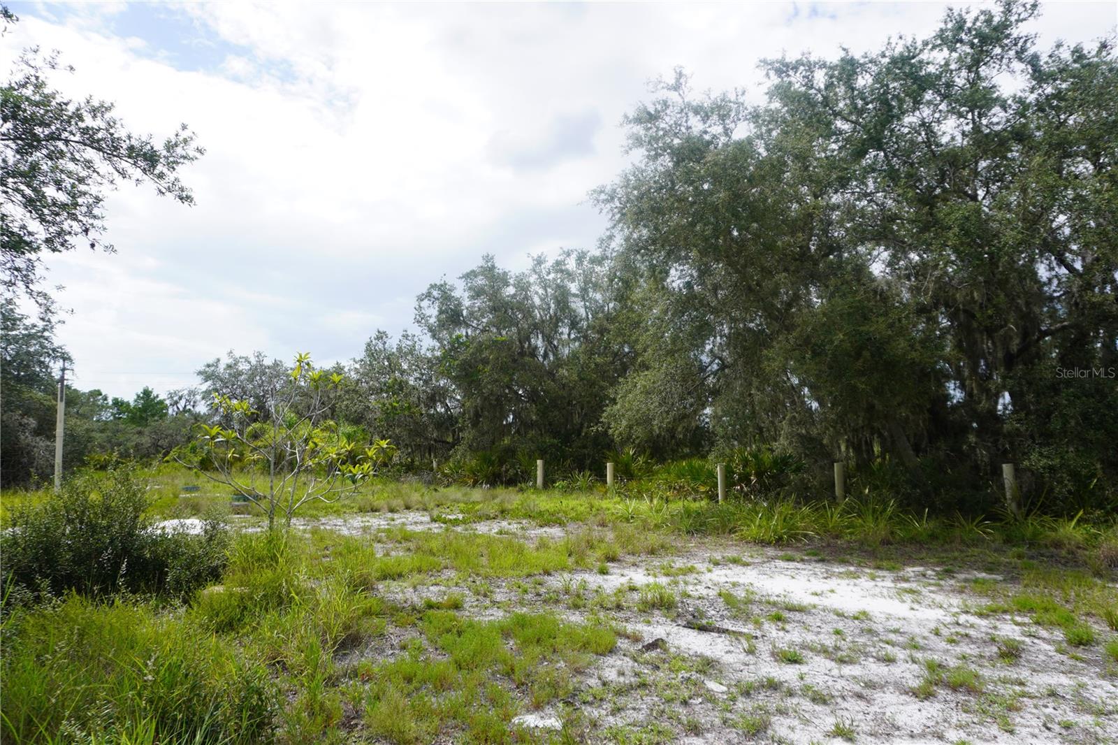 LAKE WALES ESTATES - Land