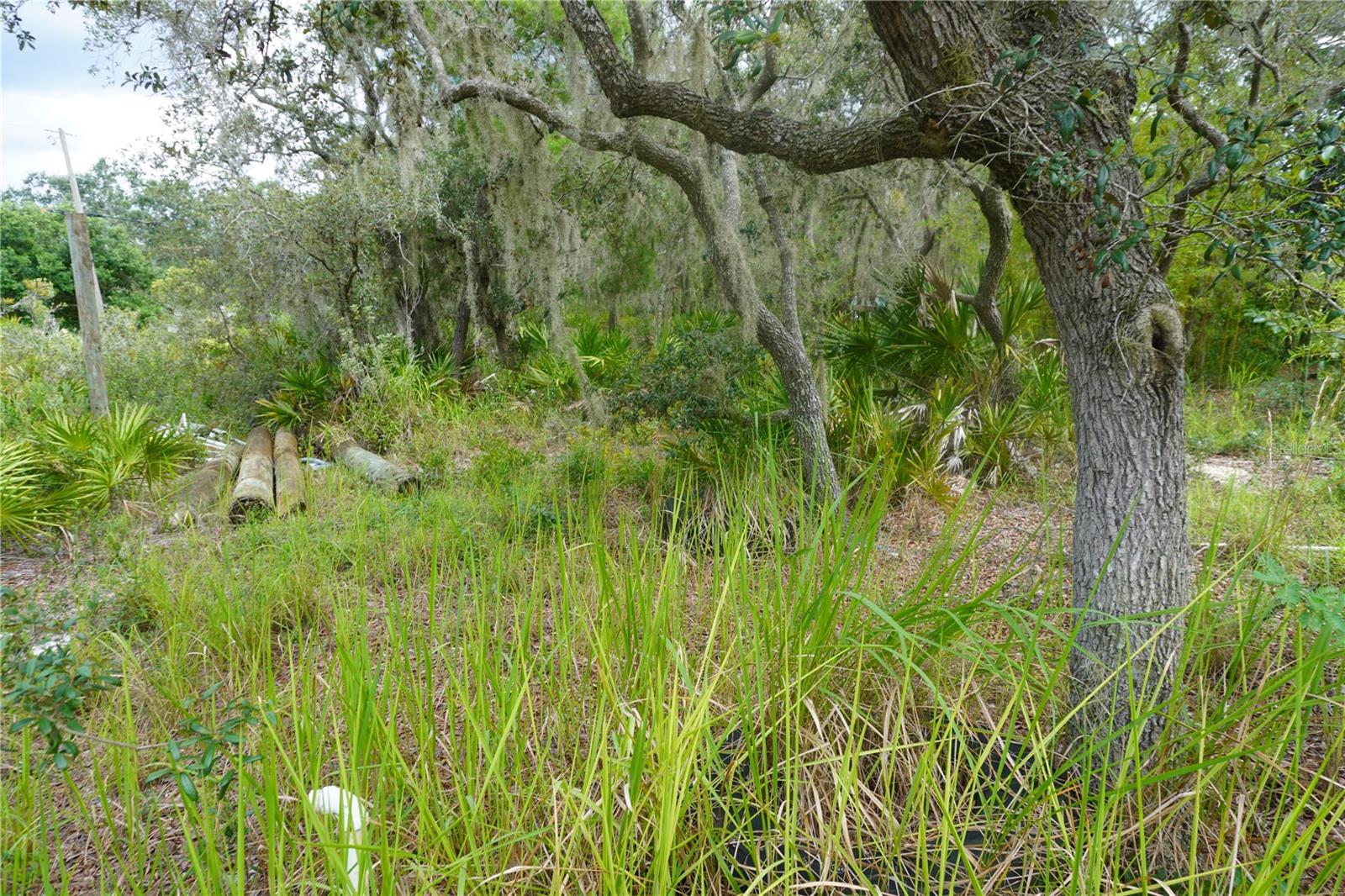 LAKE WALES ESTATES - Land