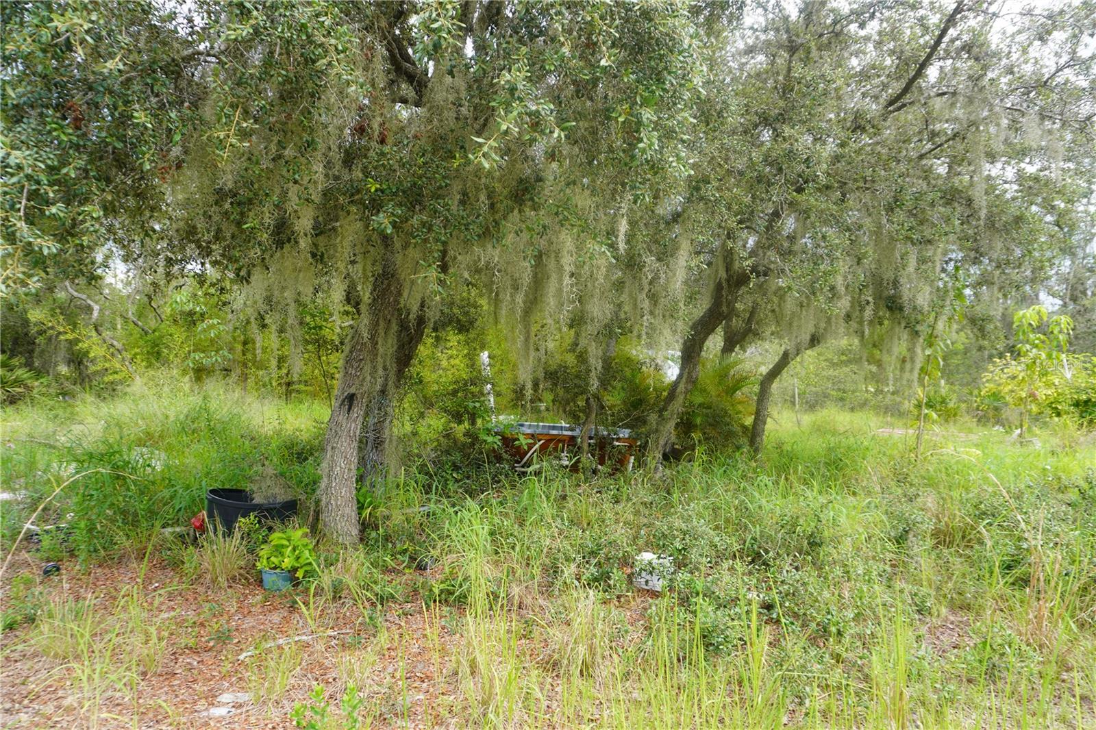 LAKE WALES ESTATES - Land