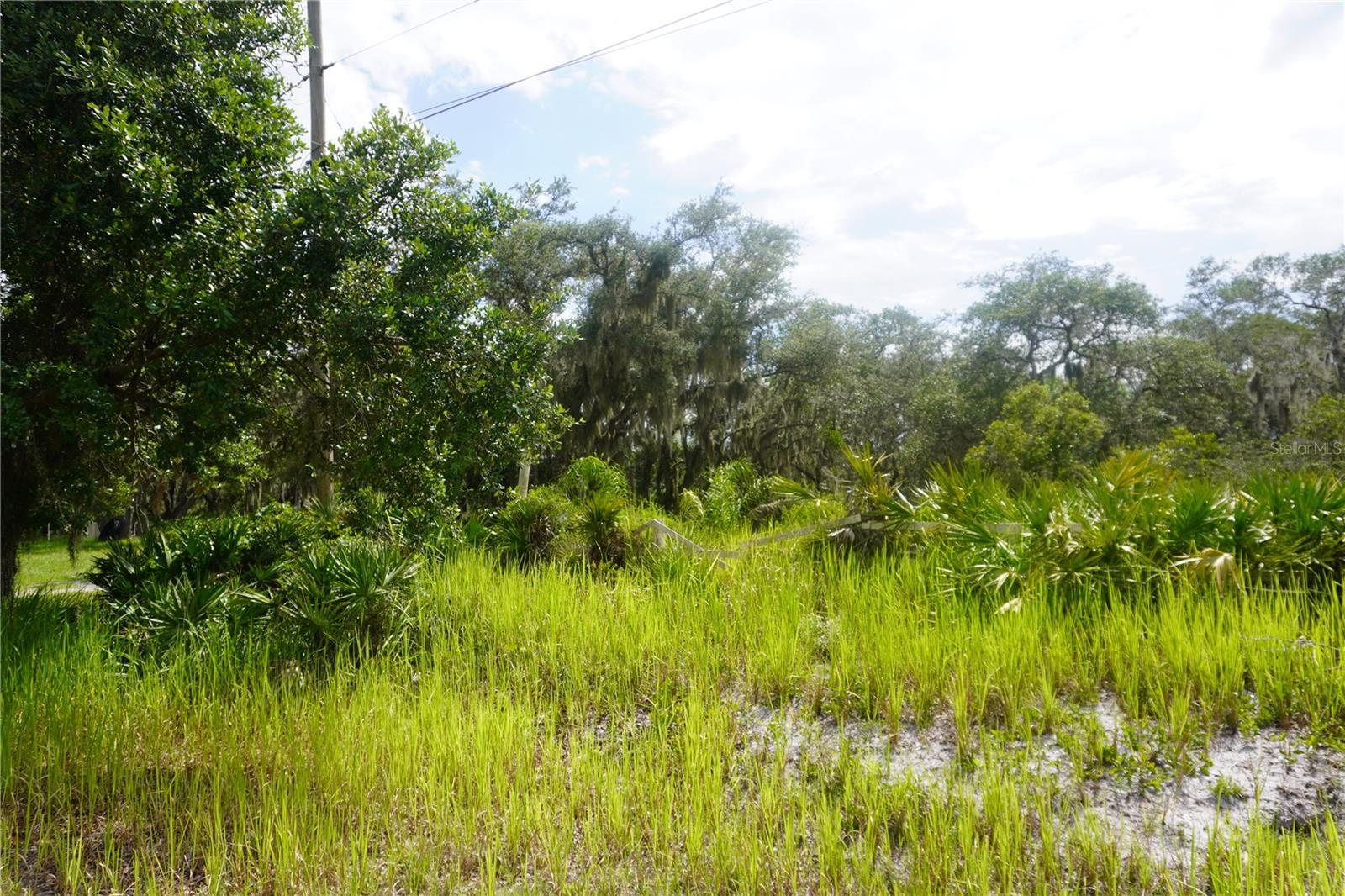 LAKE WALES ESTATES - Land