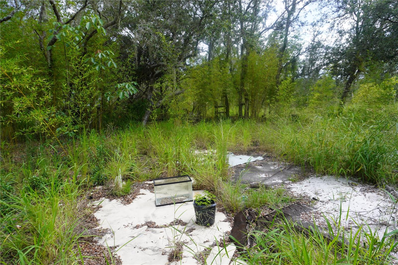 LAKE WALES ESTATES - Land