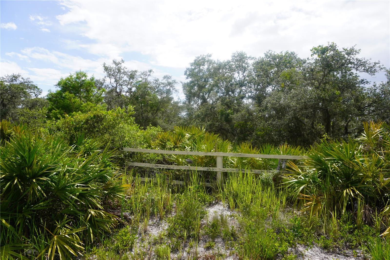 LAKE WALES ESTATES - Land