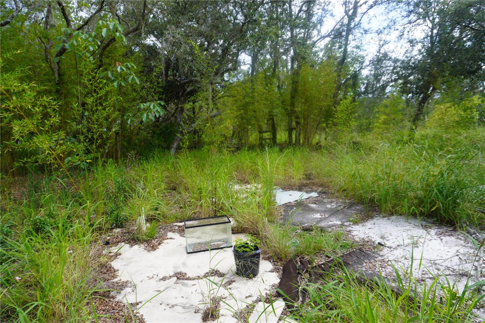 LAKE WALES ESTATES - Land
