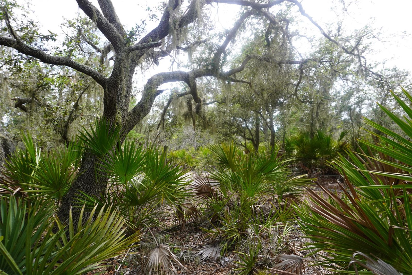 LAKE WALES ESTATES - Land