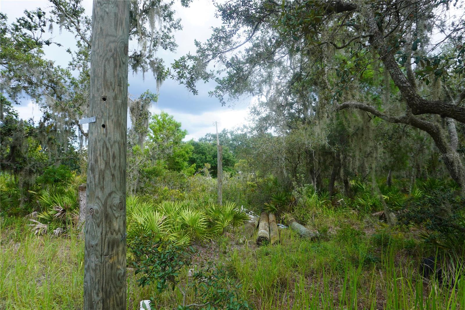 LAKE WALES ESTATES - Land