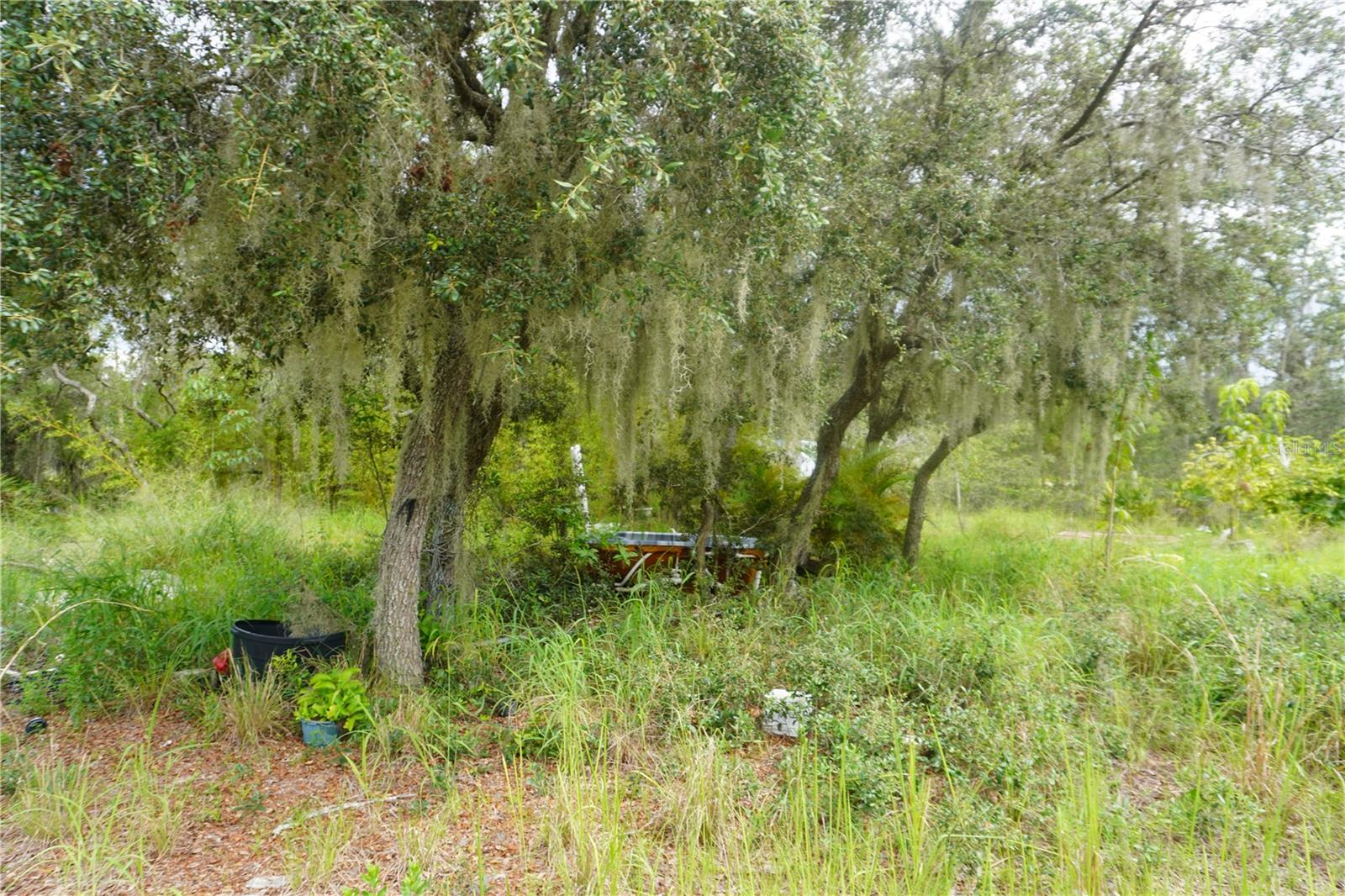 LAKE WALES ESTATES - Land