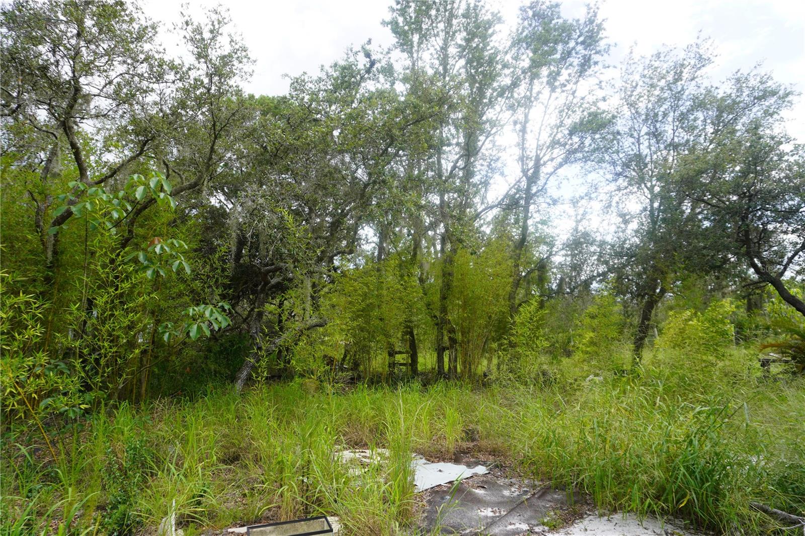 LAKE WALES ESTATES - Land
