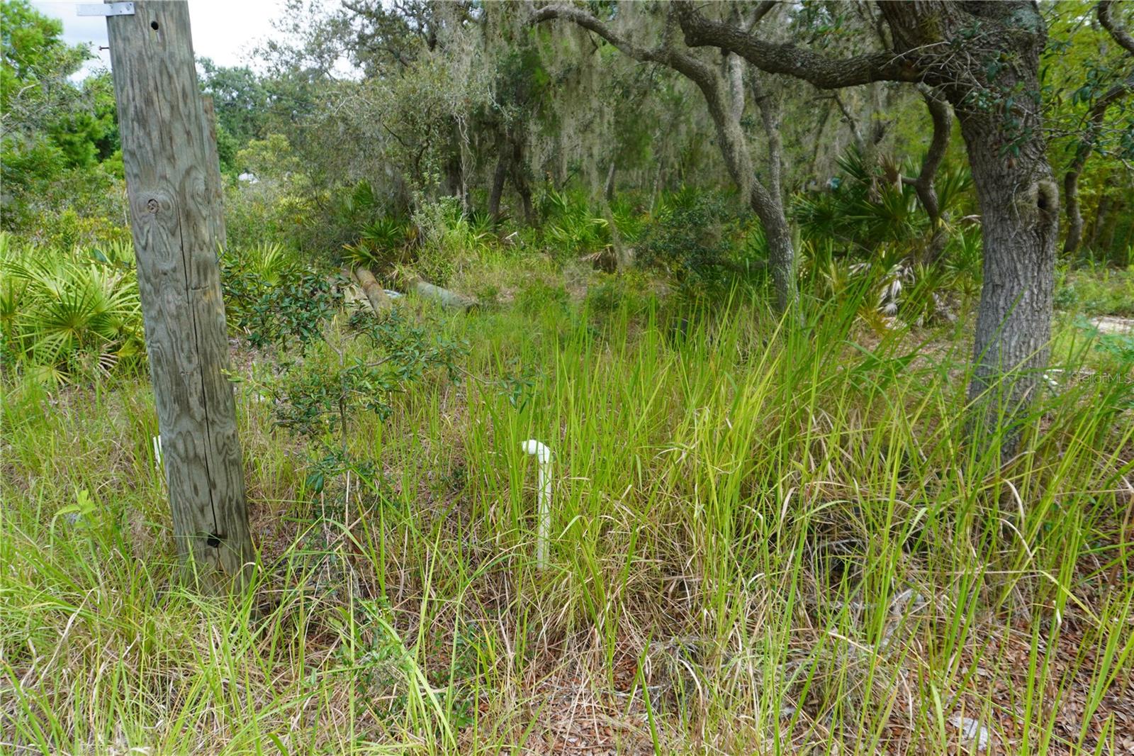 LAKE WALES ESTATES - Land