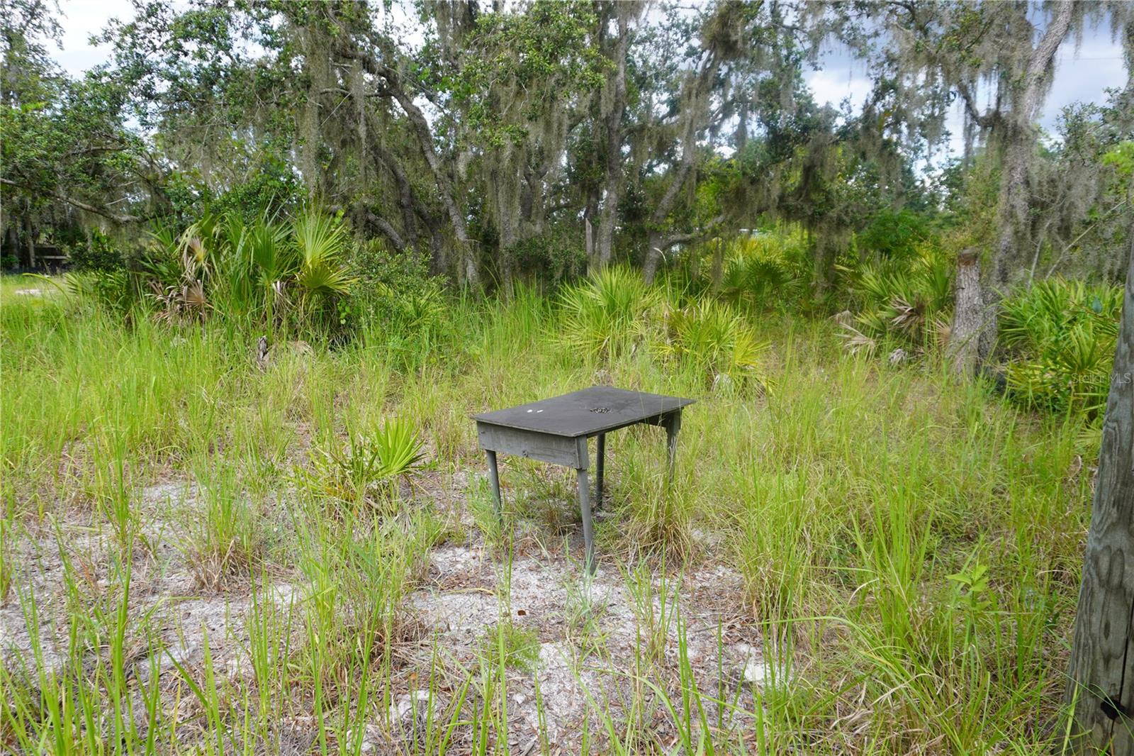 LAKE WALES ESTATES - Land