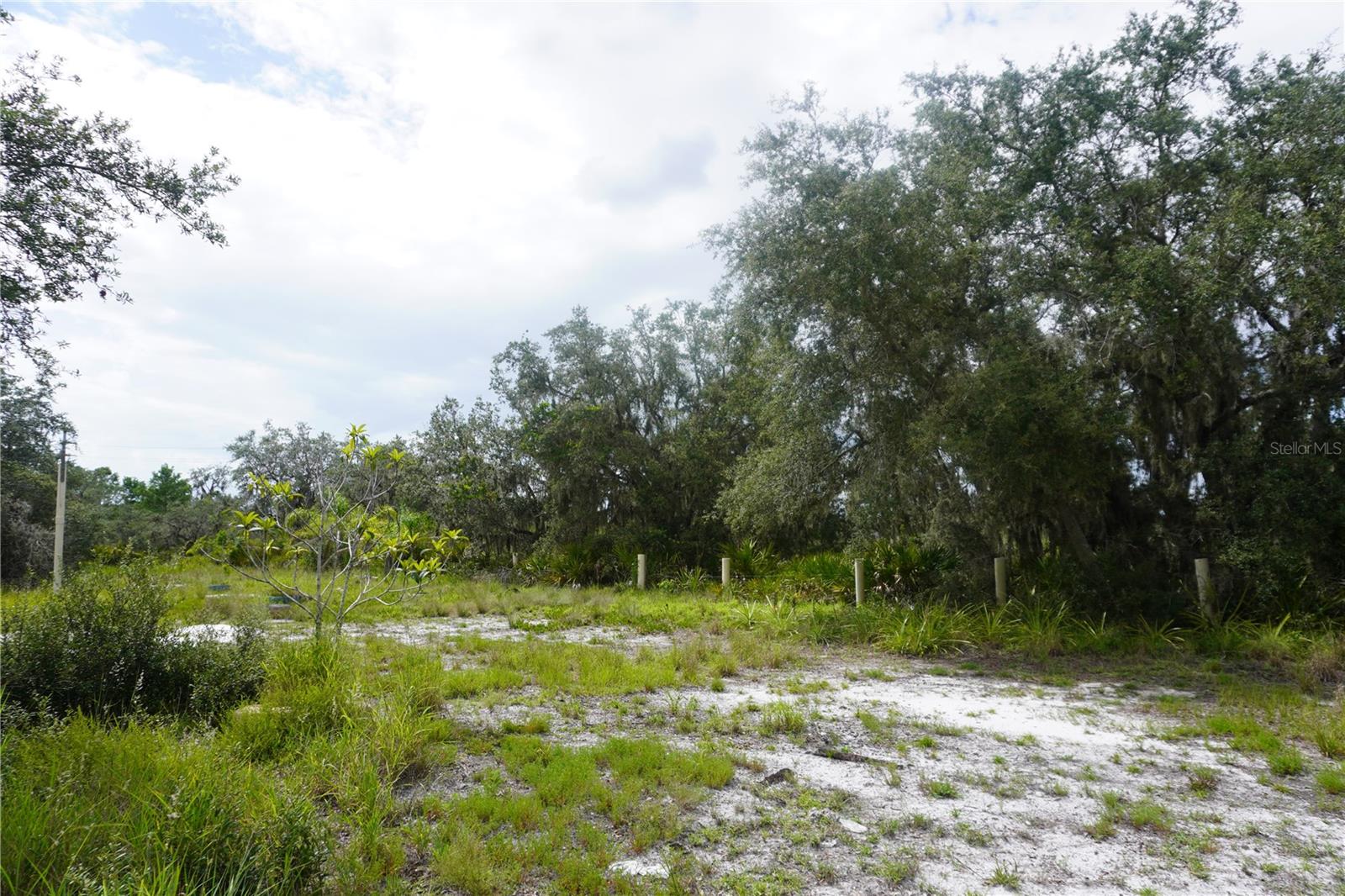 LAKE WALES ESTATES - Land