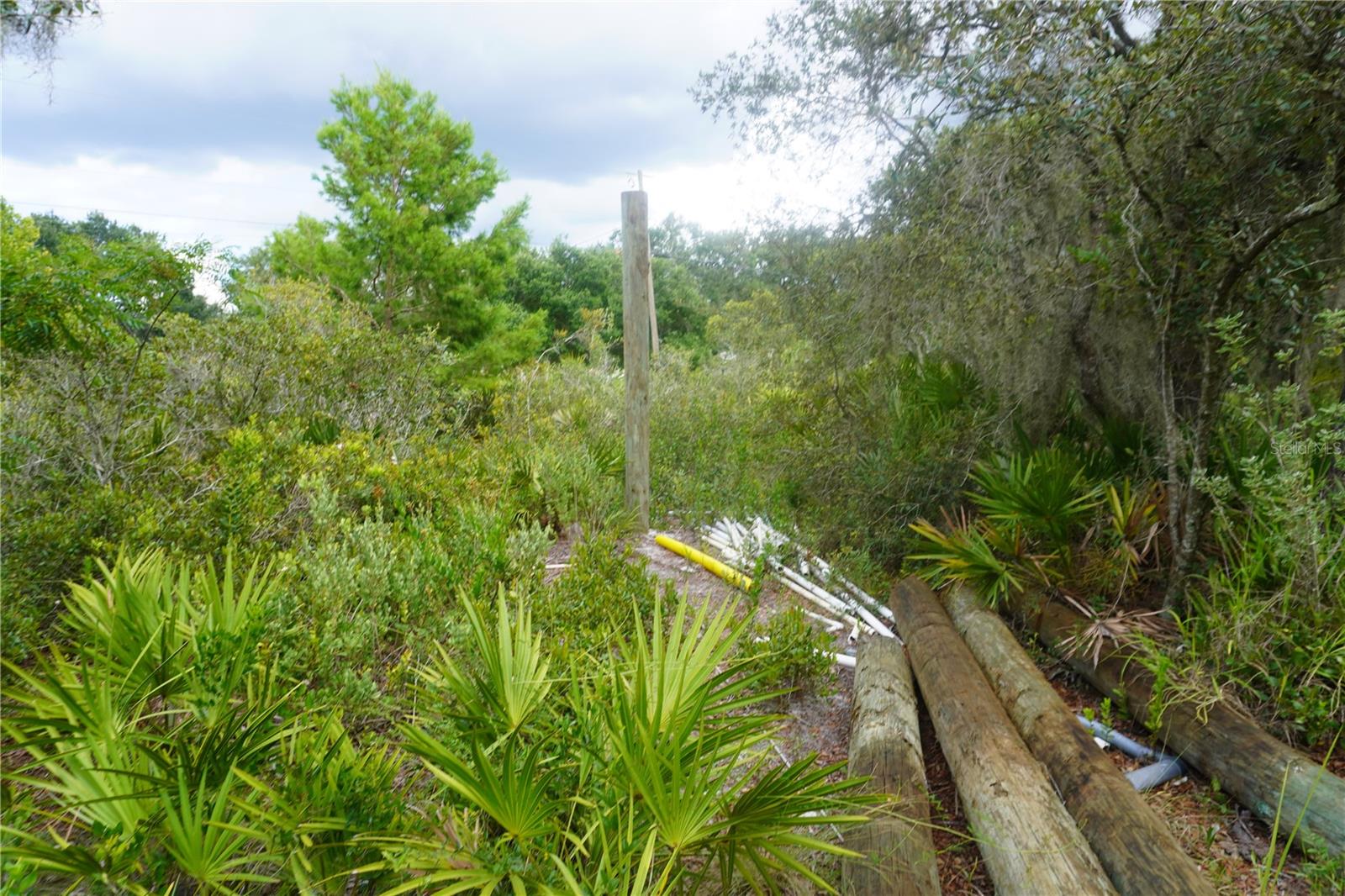 LAKE WALES ESTATES - Land