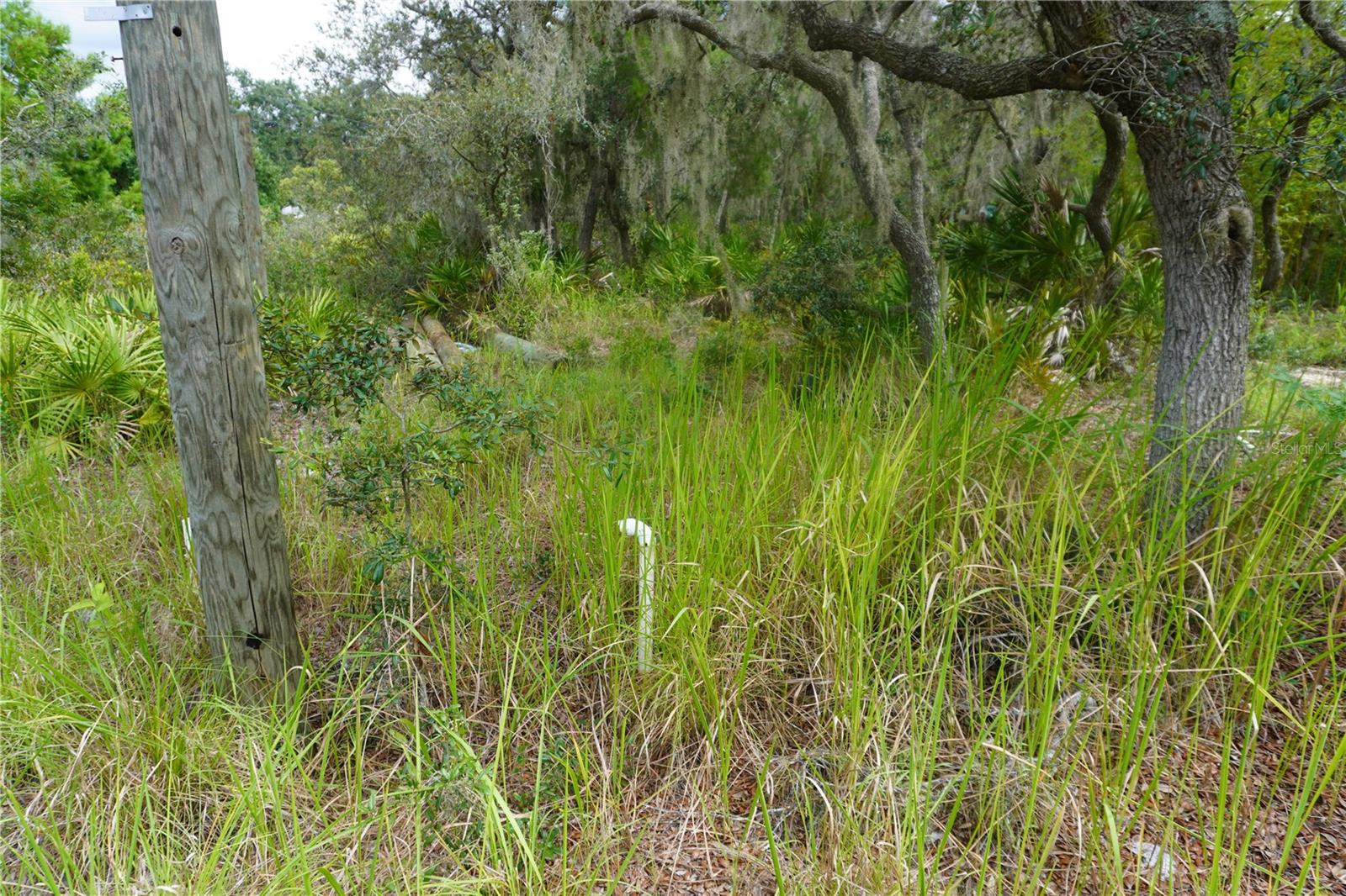 LAKE WALES ESTATES - Land