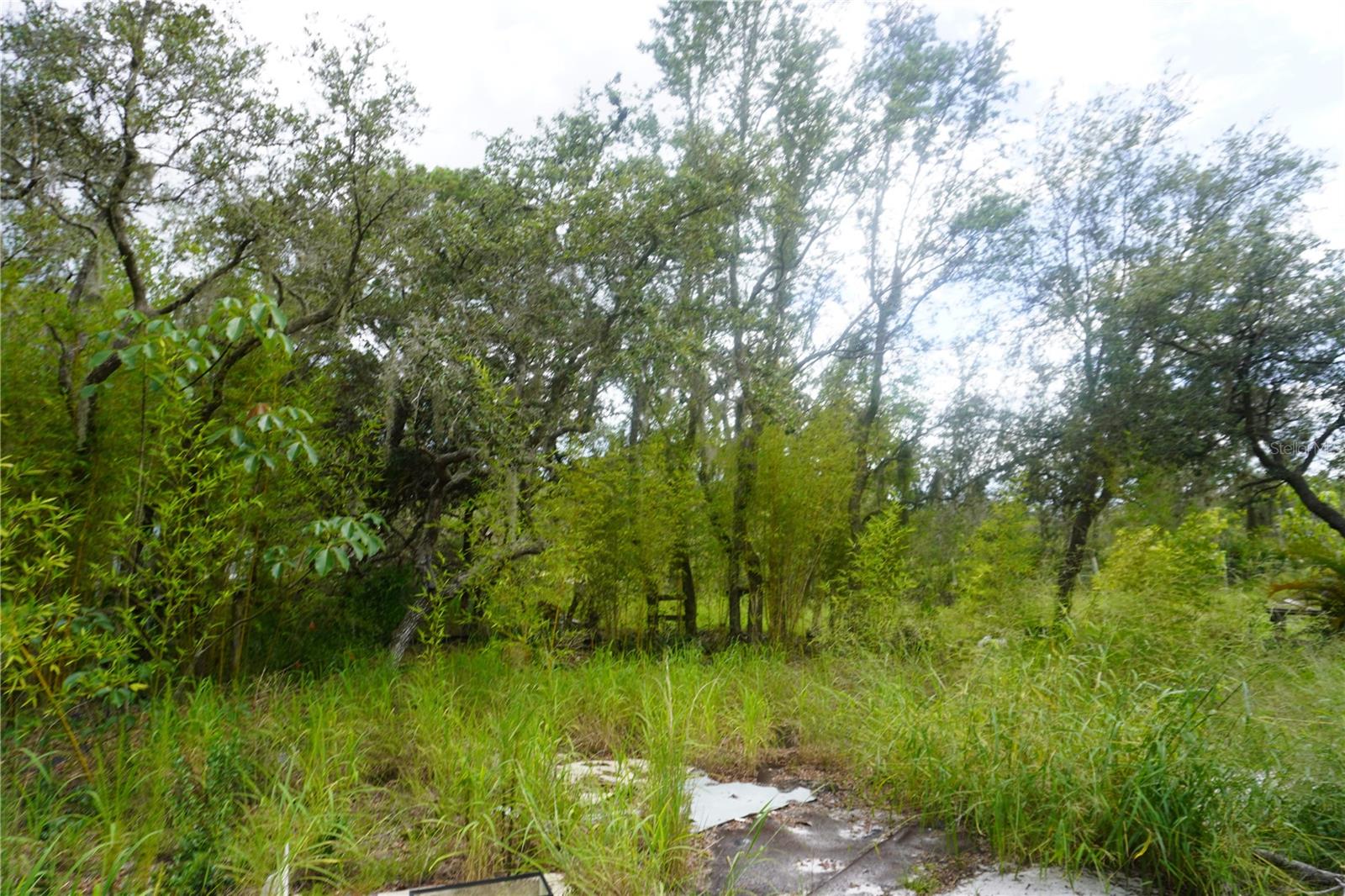 LAKE WALES ESTATES - Land