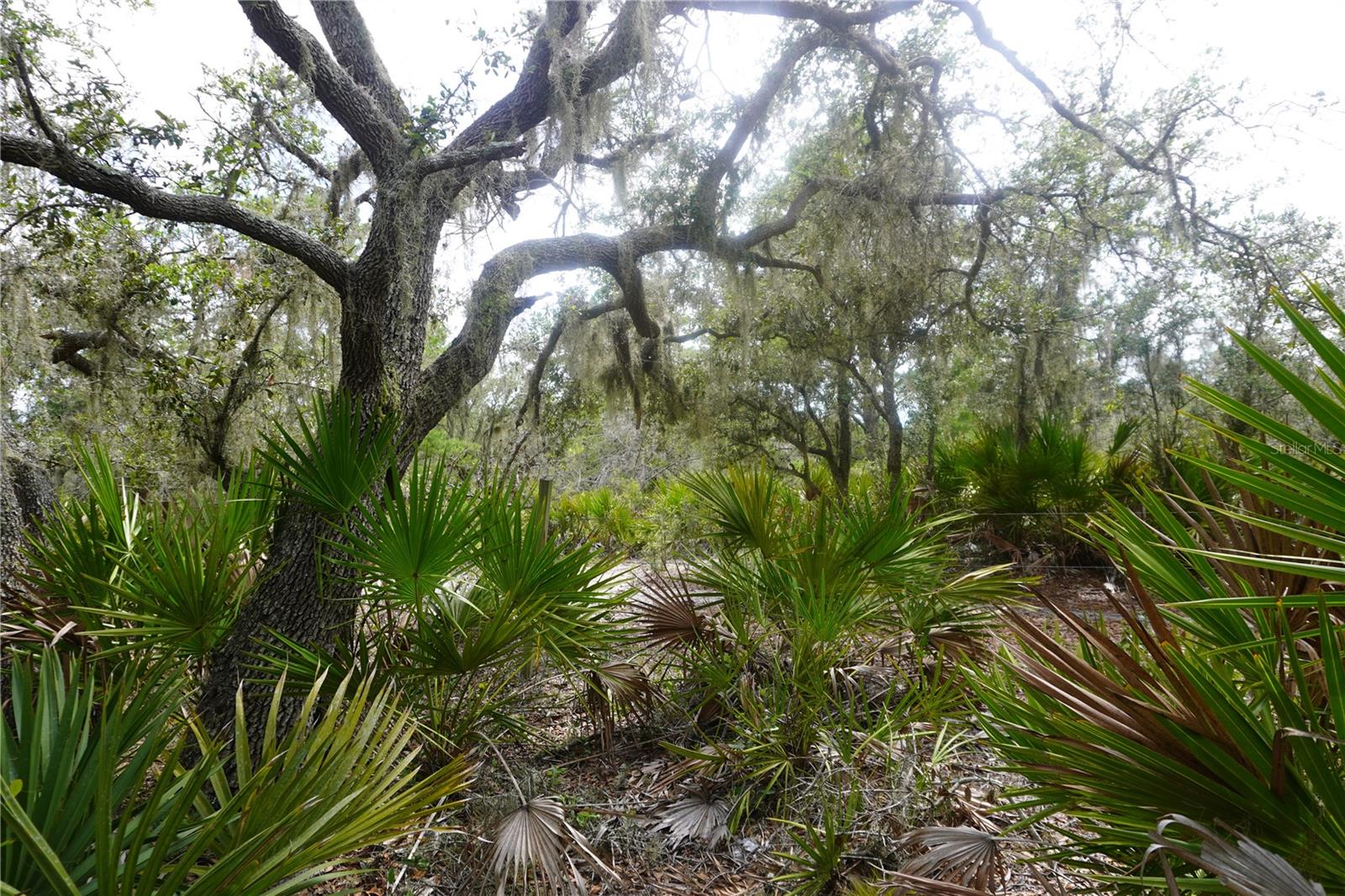LAKE WALES ESTATES - Land