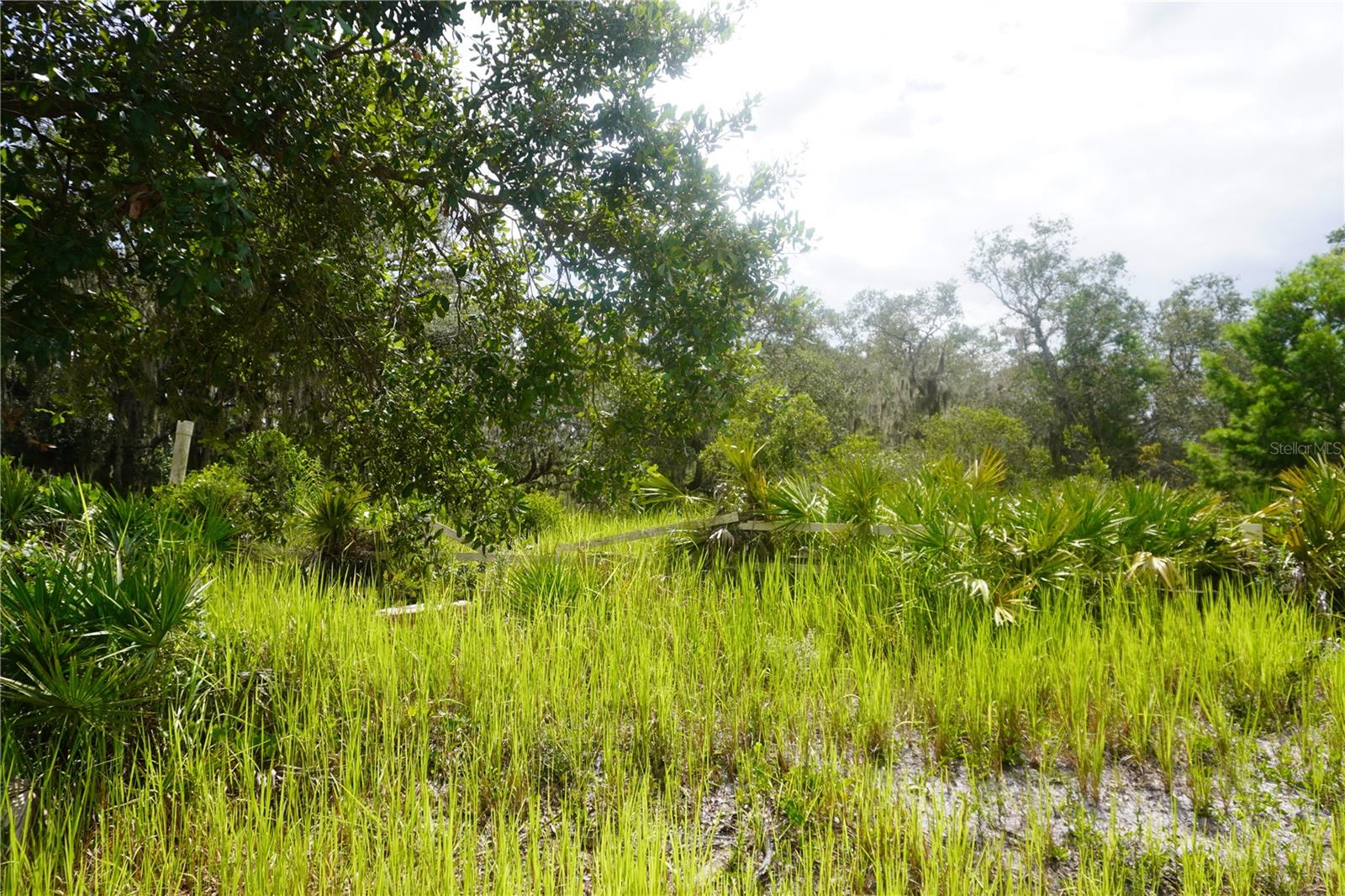 LAKE WALES ESTATES - Land