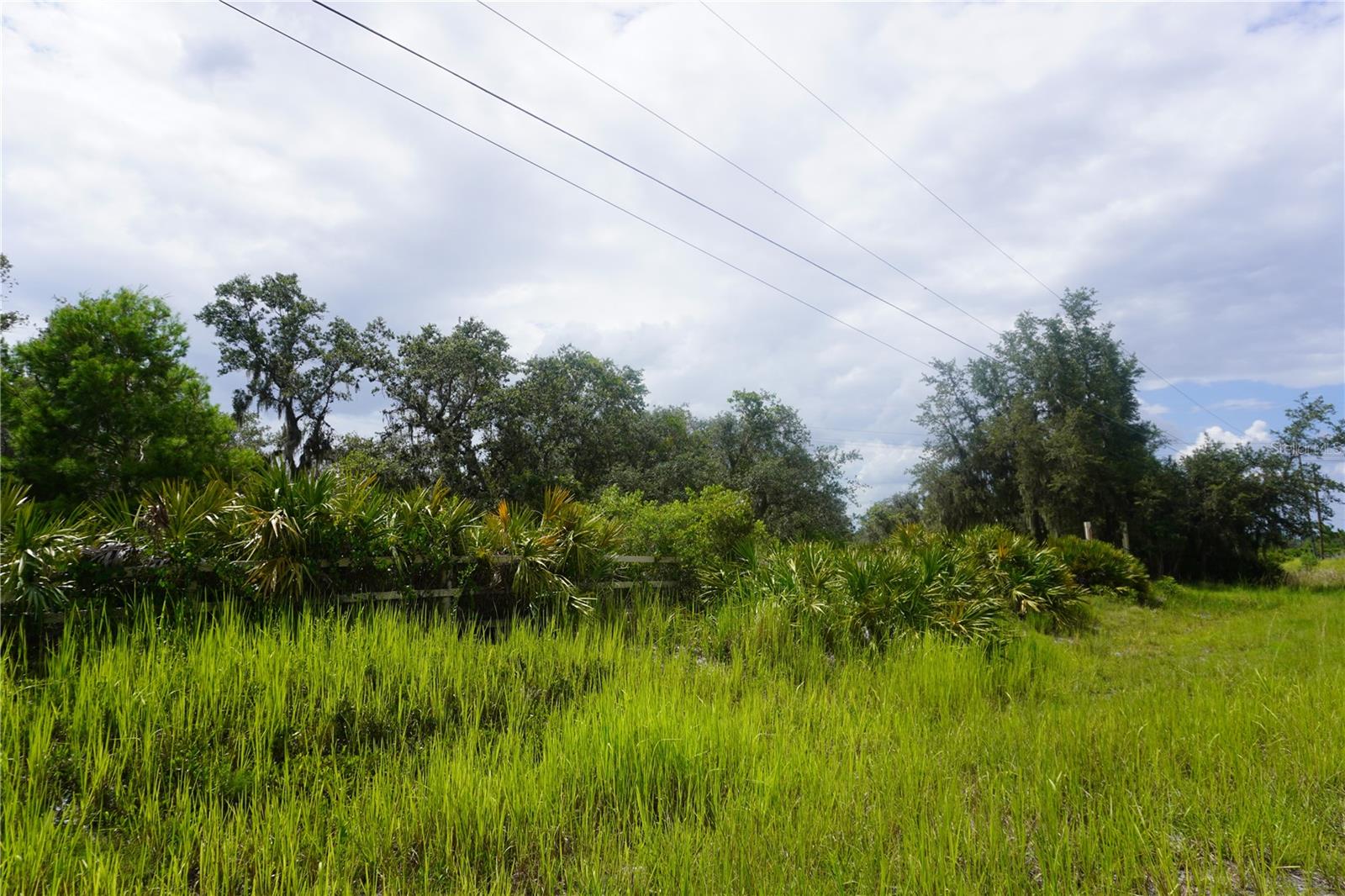 LAKE WALES ESTATES - Land