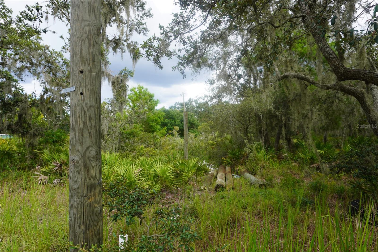 LAKE WALES ESTATES - Land