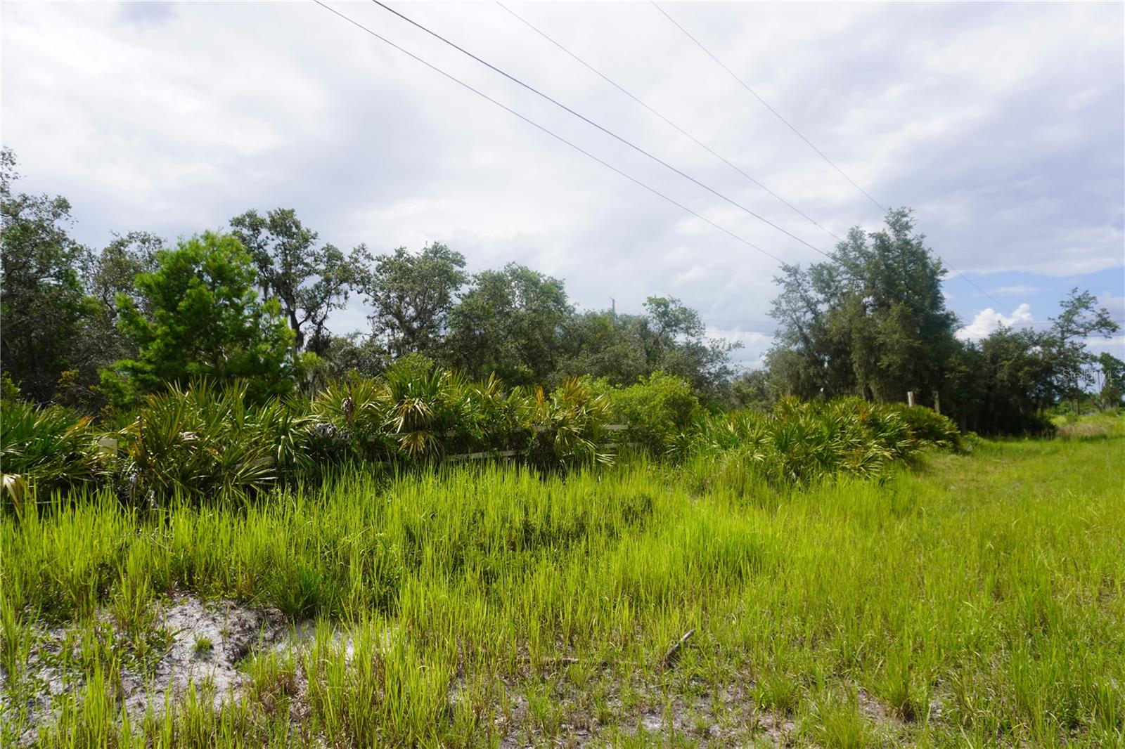 LAKE WALES ESTATES - Land