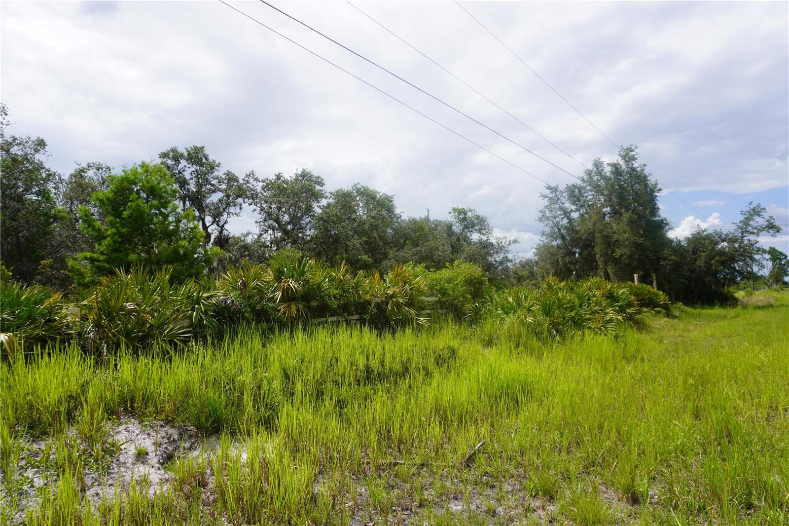 LAKE WALES ESTATES - Land