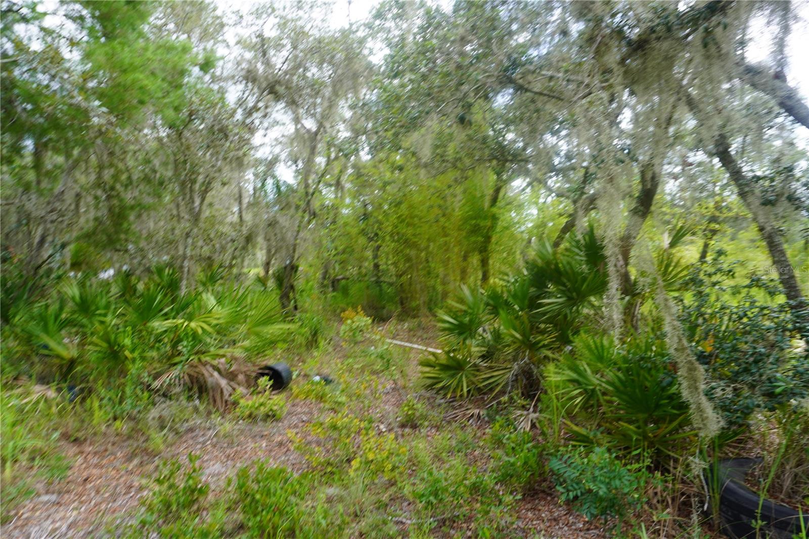 LAKE WALES ESTATES - Land