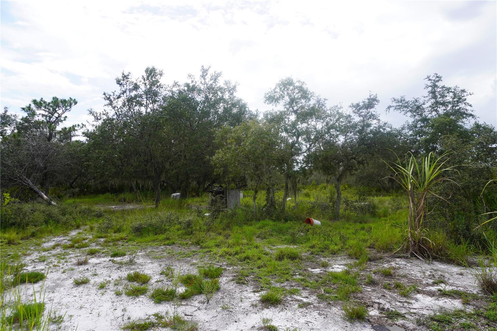 LAKE WALES ESTATES - Land