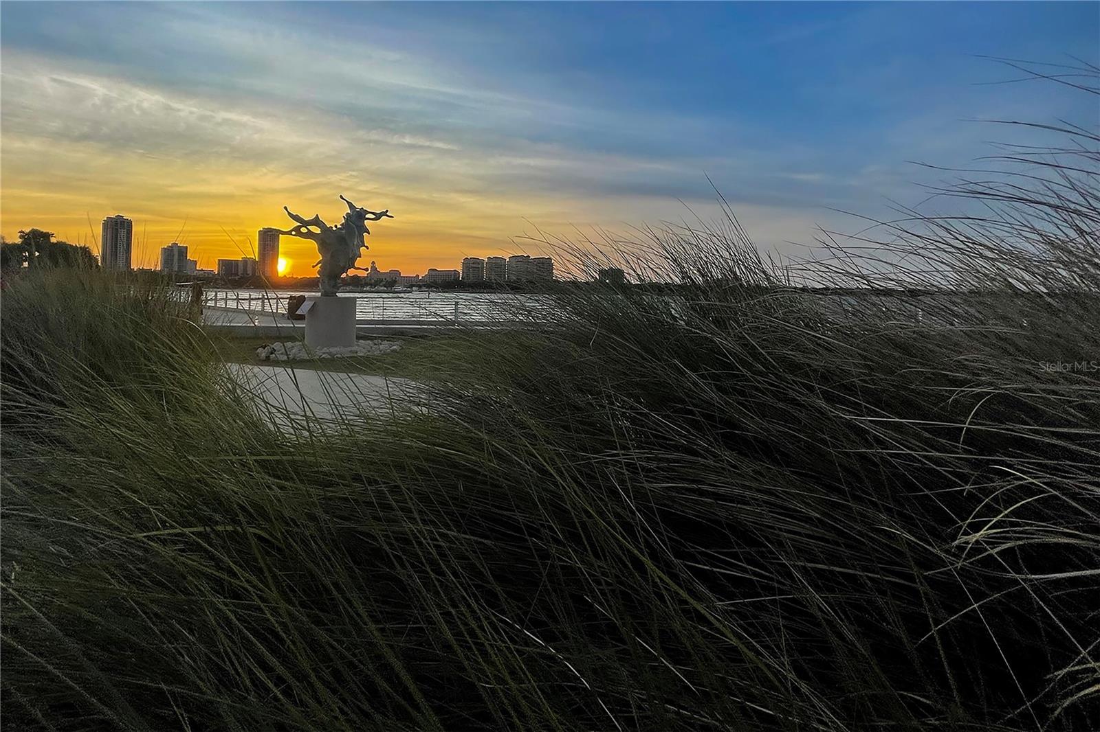 FLORI DE LEON APTS CO-OP - Residential